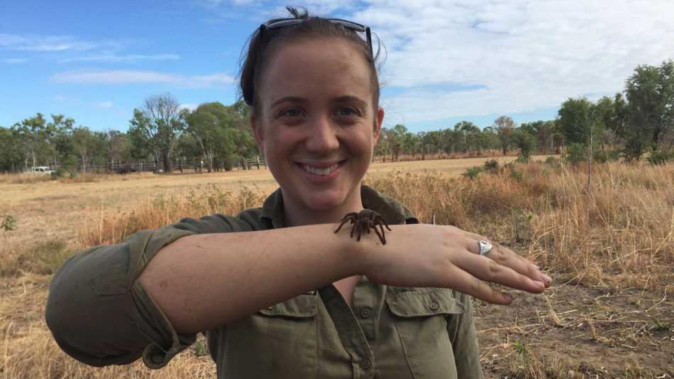 Nieuwe vogelspinsoort ontdekt in Australië