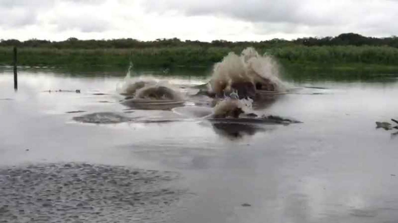 VIDEO. Koppel gooit water in rivier, maar krijgt veel kritiek