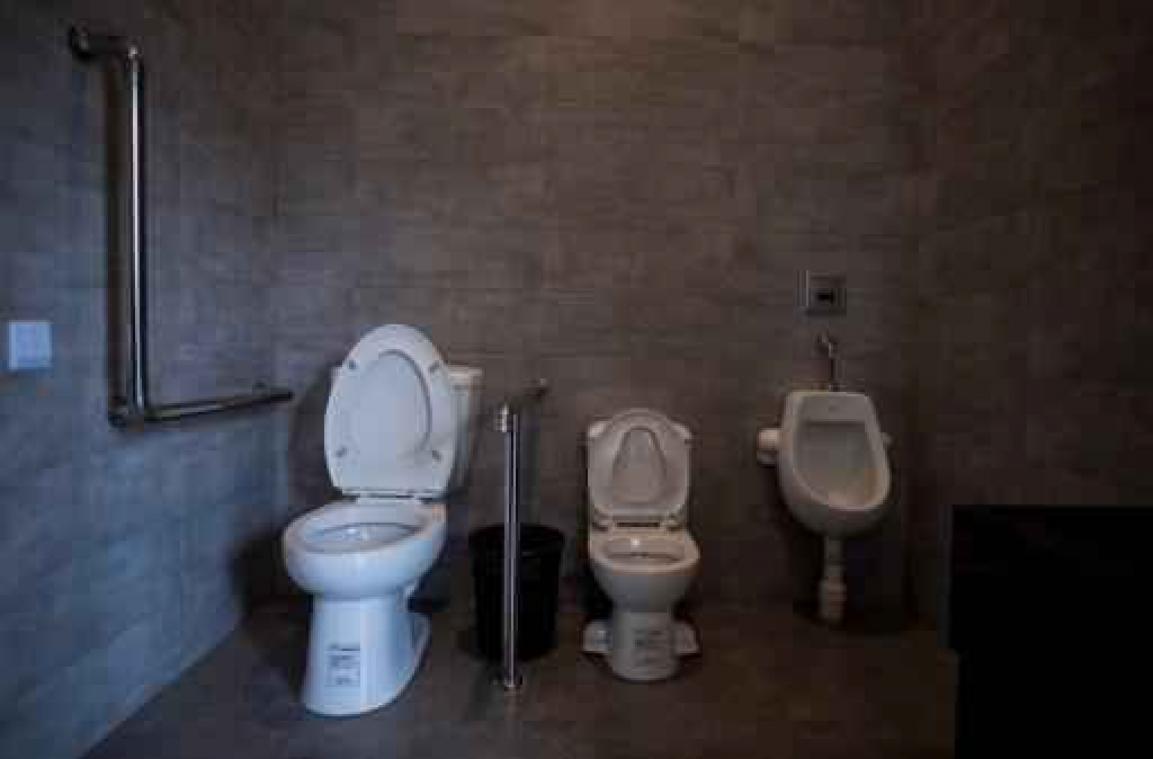 'Genderneutraal' toilet doet wachtrijen voor vrouwen met 63 procent dalen