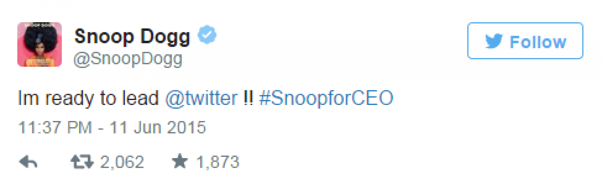 Snoop Dogg wil nieuwe CEO van Twitter worden