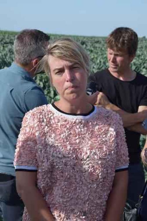 Droogte voorlopig geen erkenning als landbouwramp
