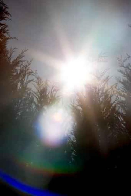 Weerbericht - Weer blijft droog en zonnig, ondanks wat sluierbewolking