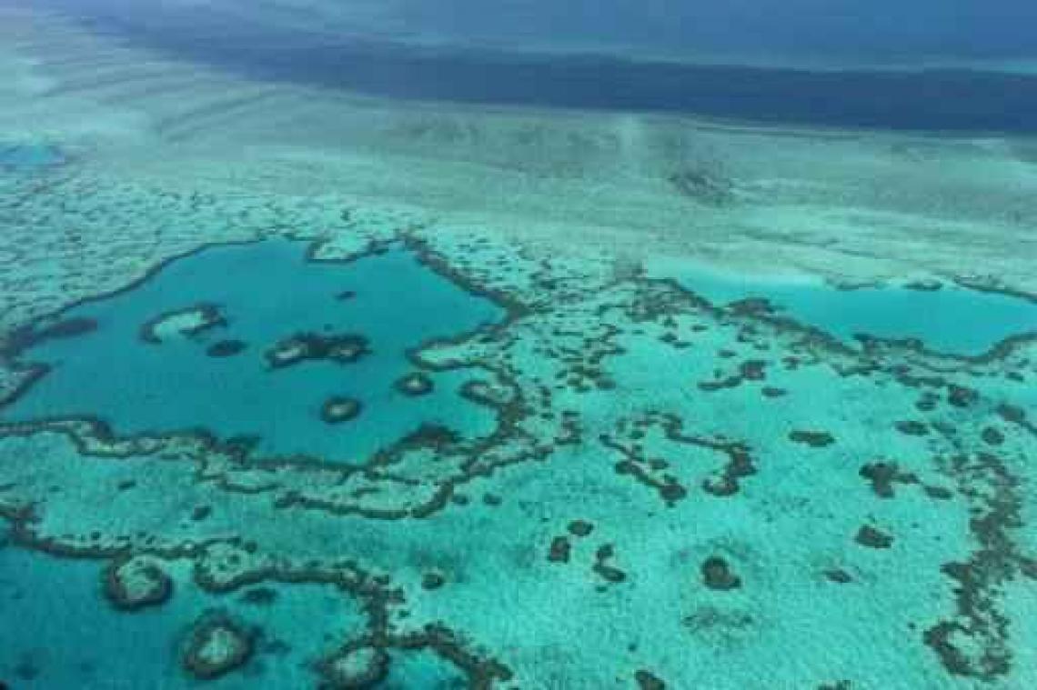 Voor Unesco is Great Barrier Reef niet in gevaar