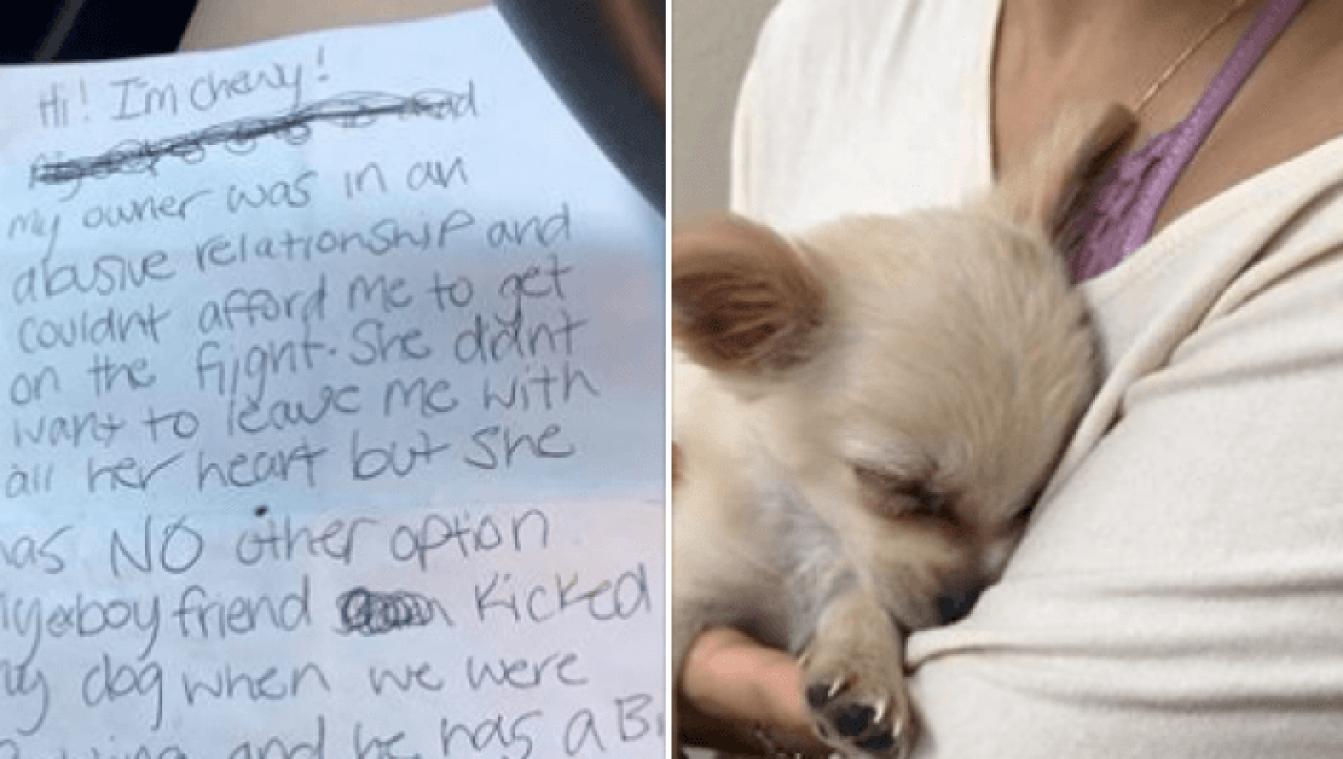Vrouw dumpt puppy op het vliegveld met hartverscheurend briefje