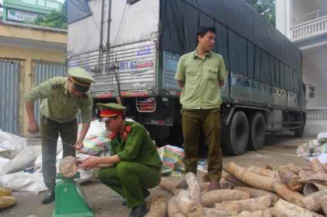 Meerdere tonnen ivoor in beslag genomen in Vietnam