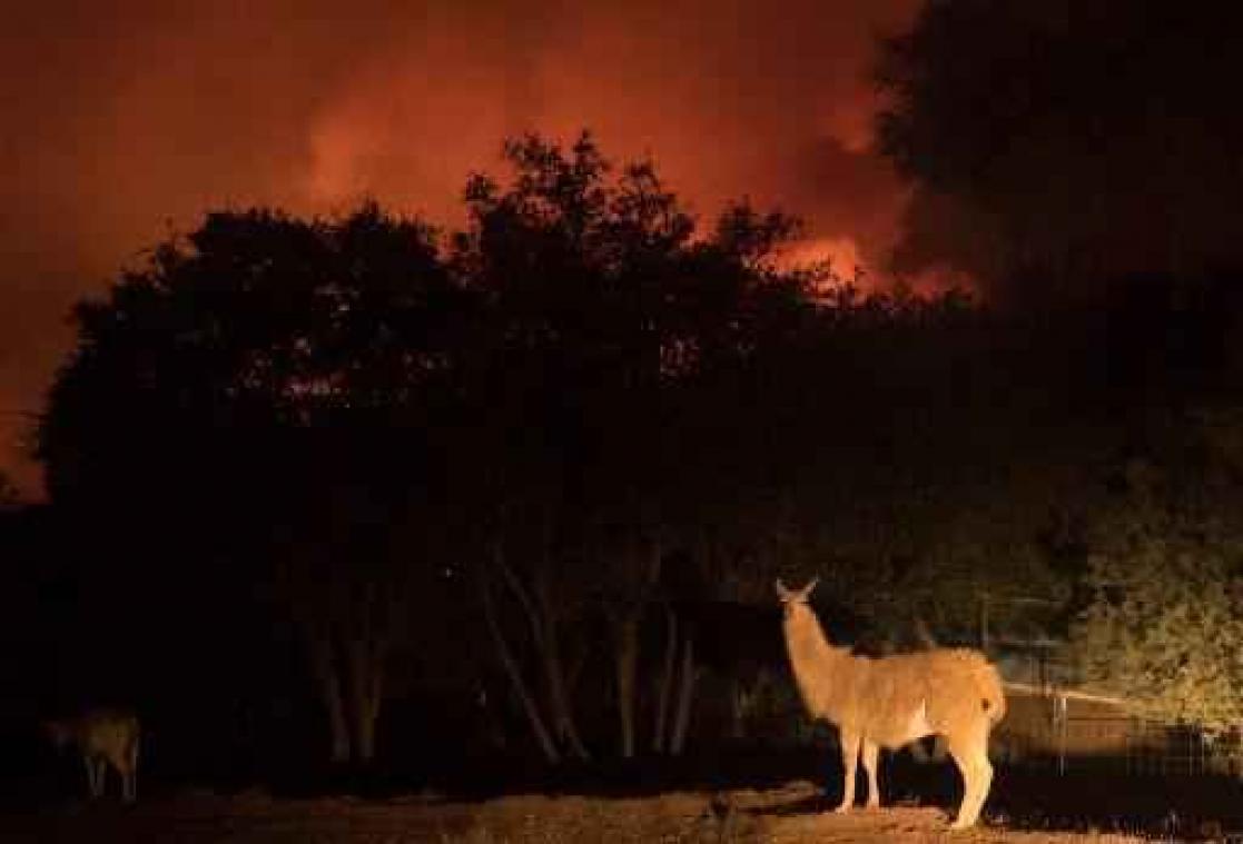 5.000 brandweermannen bestrijden bosbranden in Californië