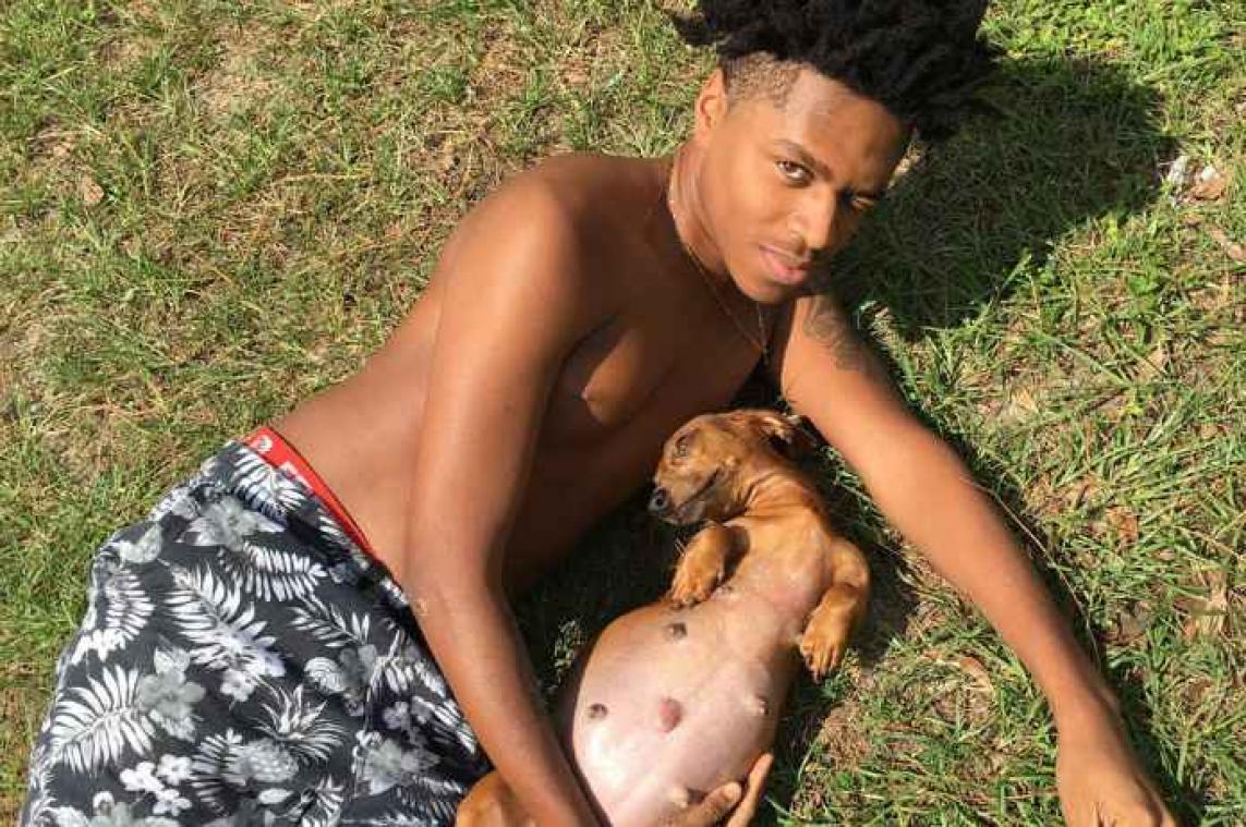 Amerikaan organiseert hilarische fotoshoot voor zwangere hond