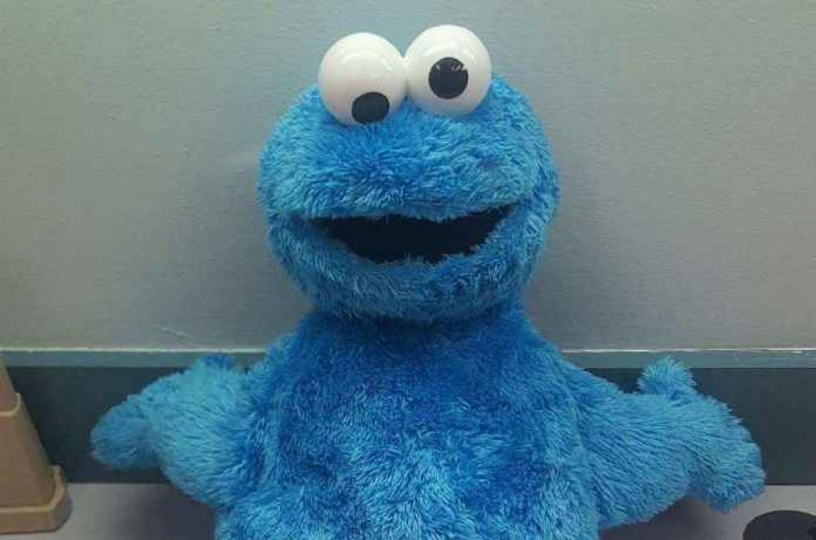 Politie vindt verdachte buit in Koekiemonsterknuffel