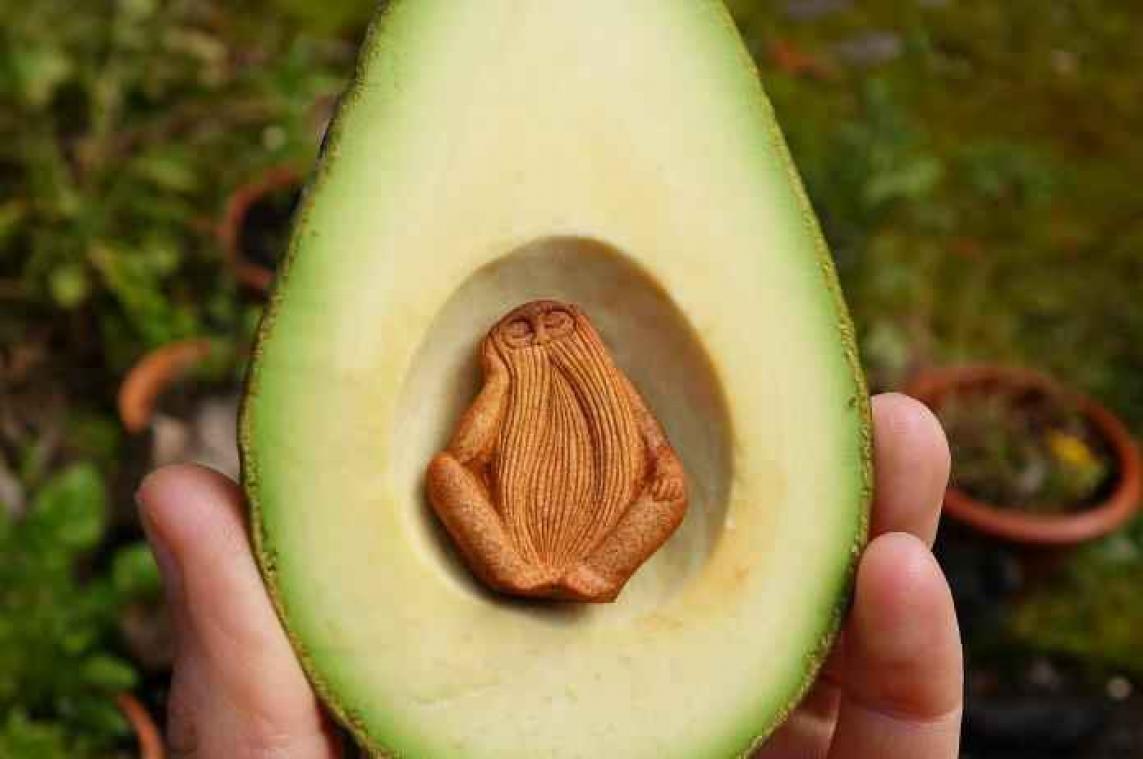 Deze vrouw maakt kunstwerkjes met de pitten van avocado's