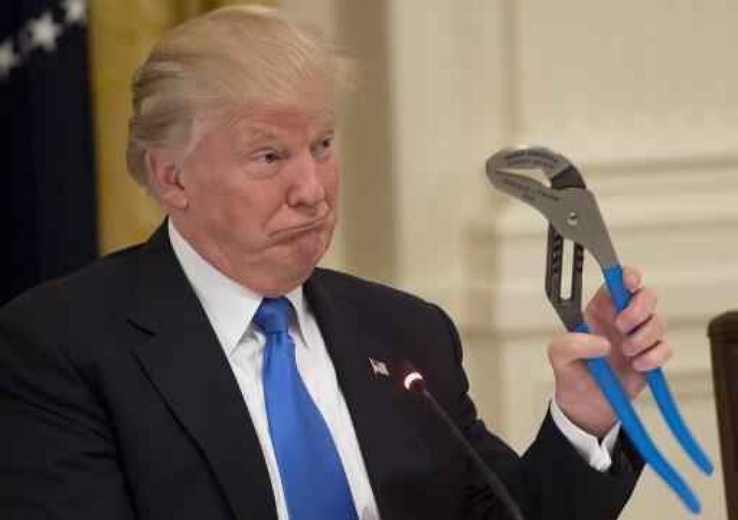 Twintigtal Democraten dient motie van wantrouwen in tegen Trump