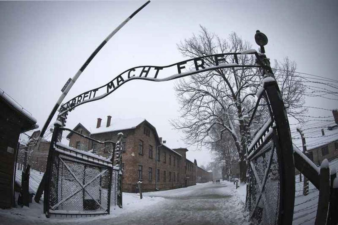 Studente steelt uit Auschwitz voor kunstproject