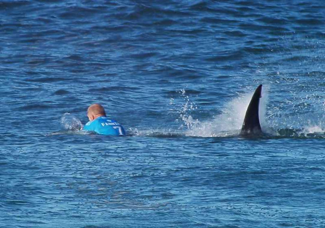 Surfer die vocht met haai, is opnieuw aangevallen