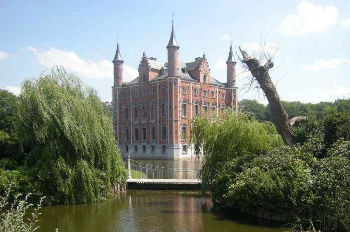 Voor 25 miljoen kan je een Vlaams sprookjeskasteel kopen