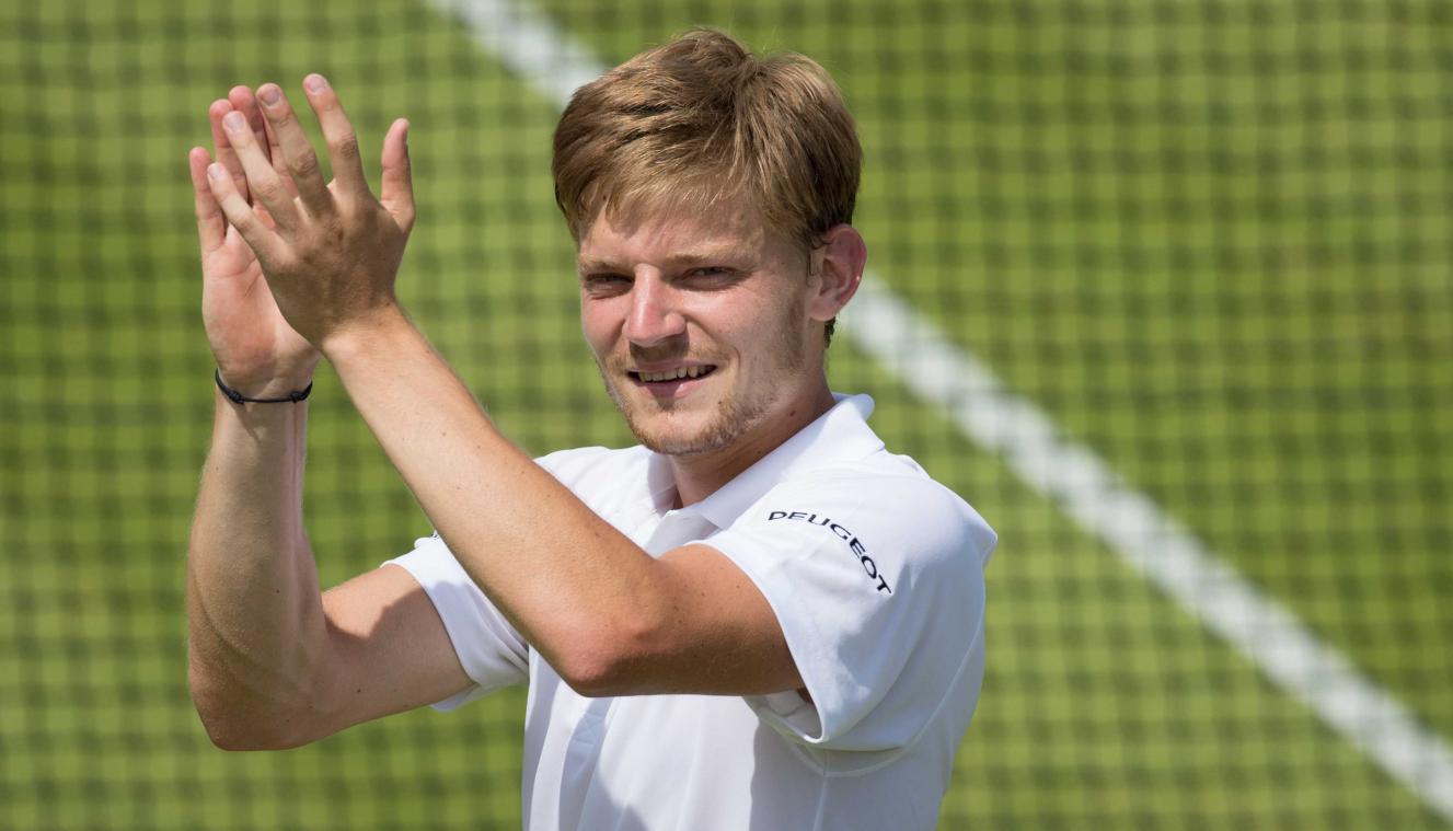 Goffin peuzelt Baghdatis op