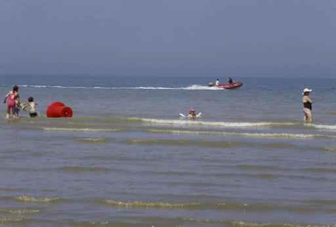 Rif van wormen, mosselen en zeewier voor kust De Panne