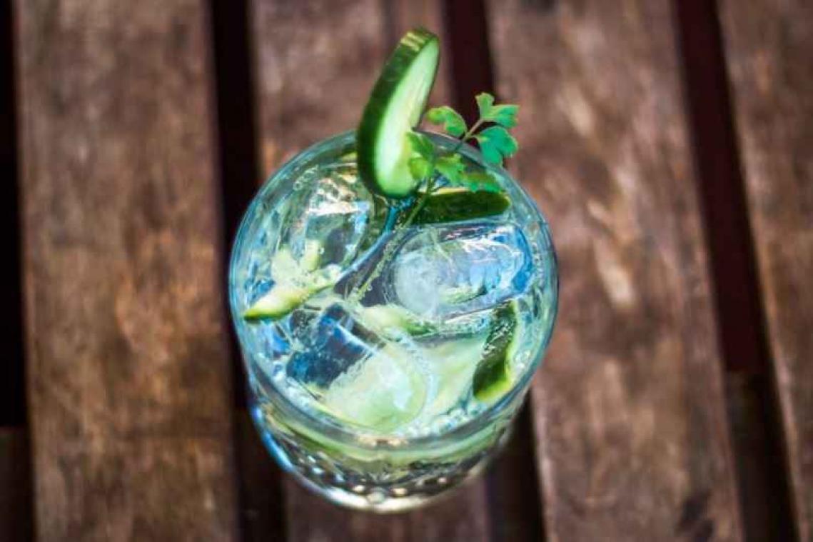Gin van Aldi hoort bij de beste van de wereld