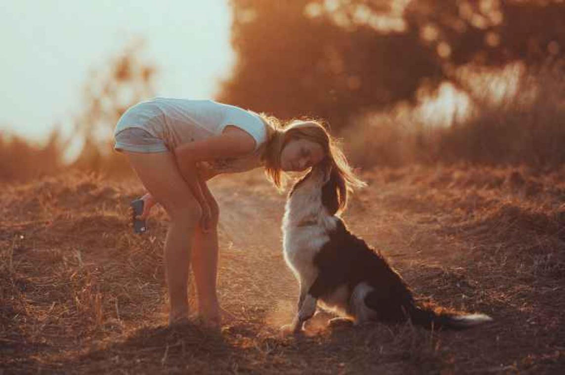 Binnenkort kan je babbelen met je hond