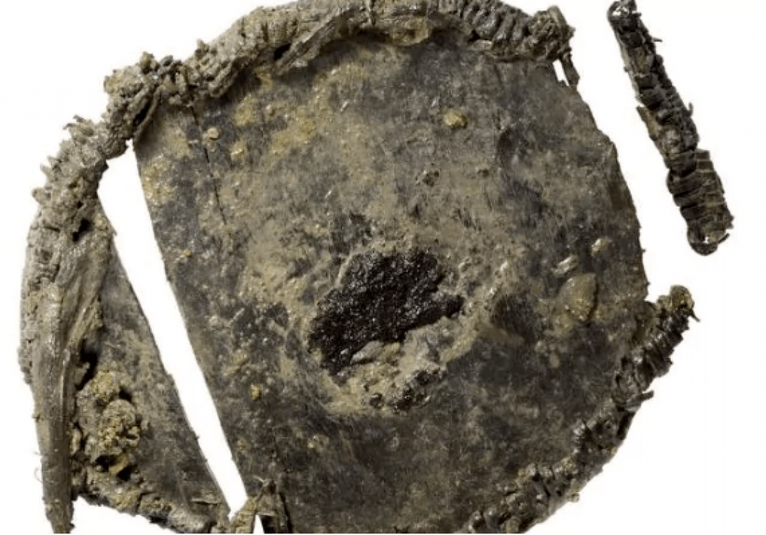 Prehistorische mens gebruikte ook brooddoos