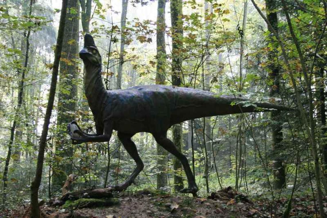 10-jarig jongetje ontdekt fout in Natural History Museum