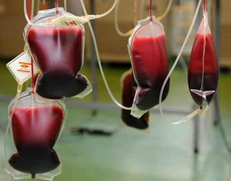 Rode Kruis zoekt dringend plasma van bloedgroep AB