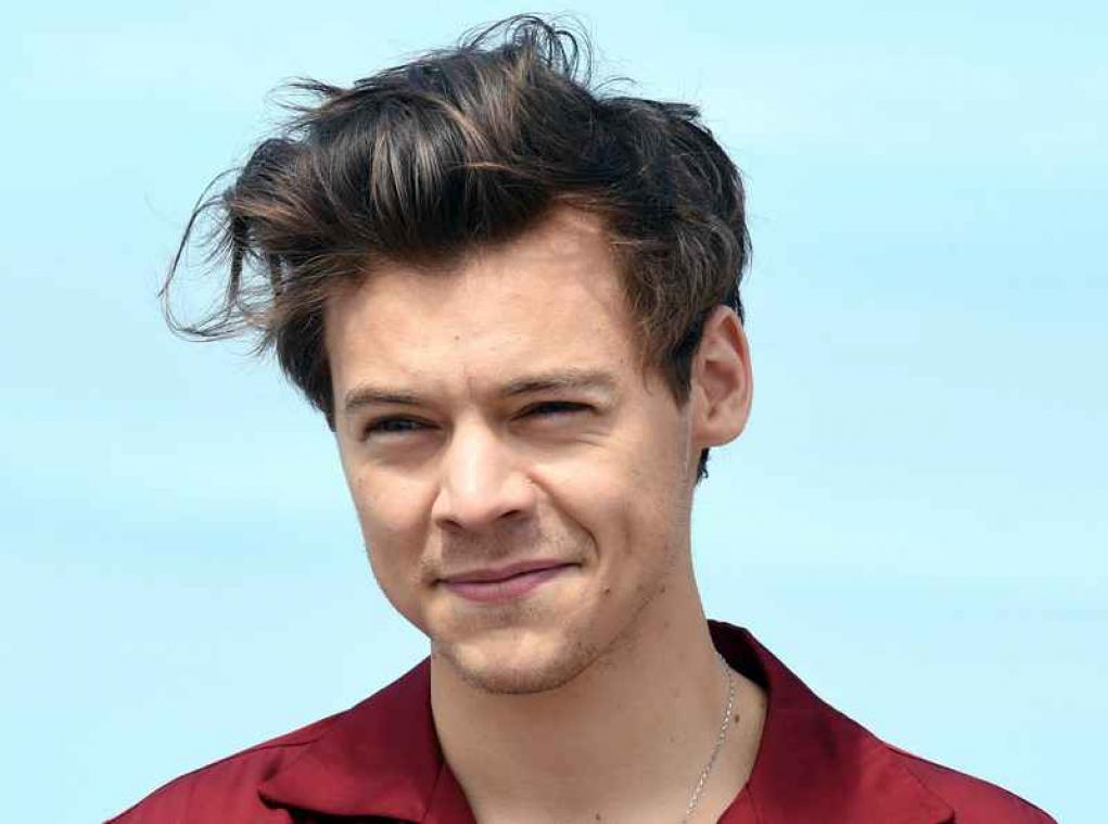 Harry Styles datet met Victoria's Secret-model