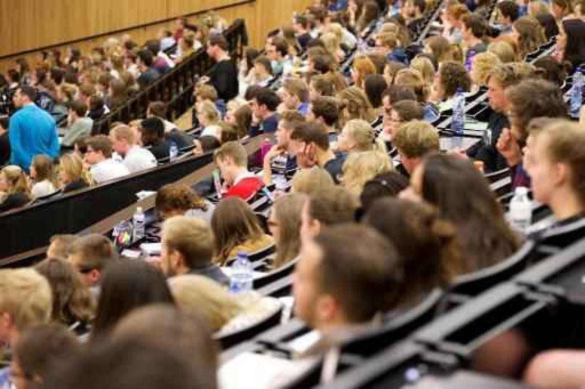 Studeren in het Engels lukt, uitleggen gaat moeizaam