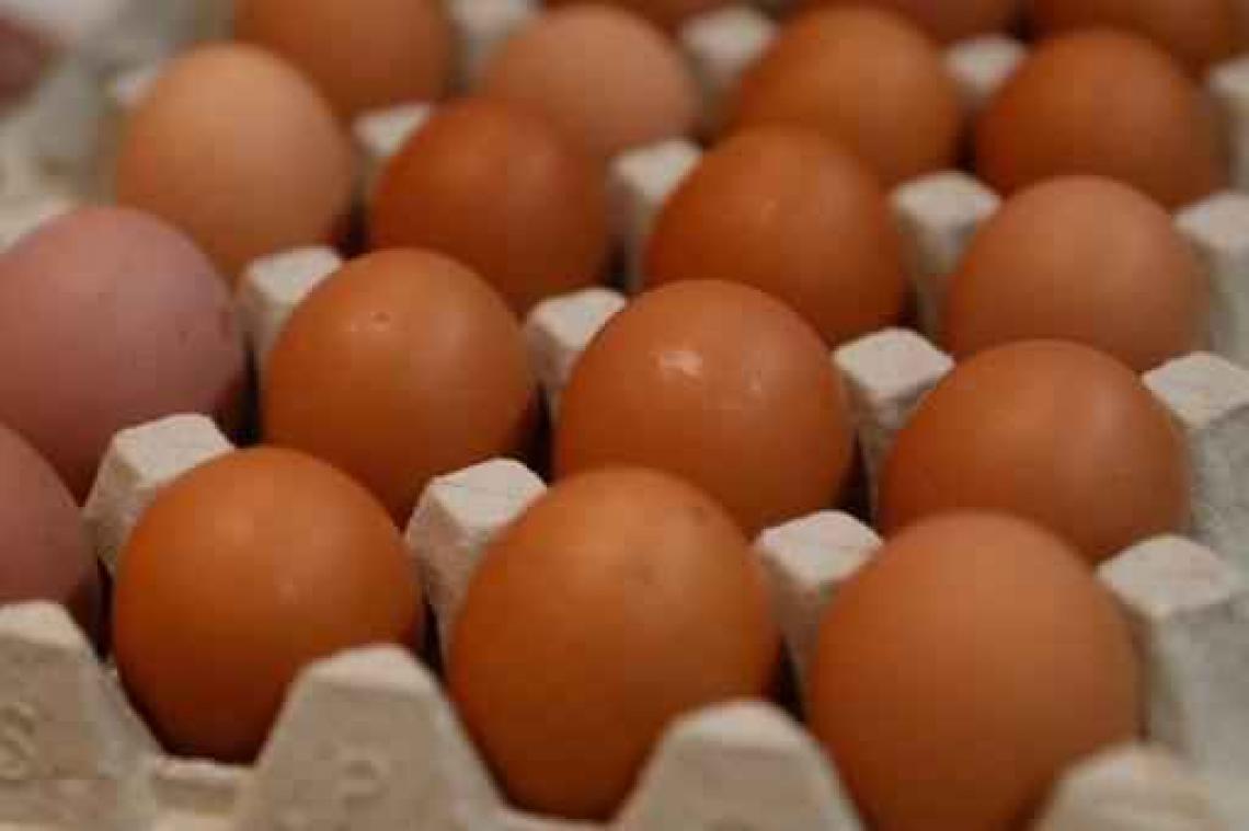 Albert Heijn, Colruyt en Delhaize halen eieren in België uit de rekken