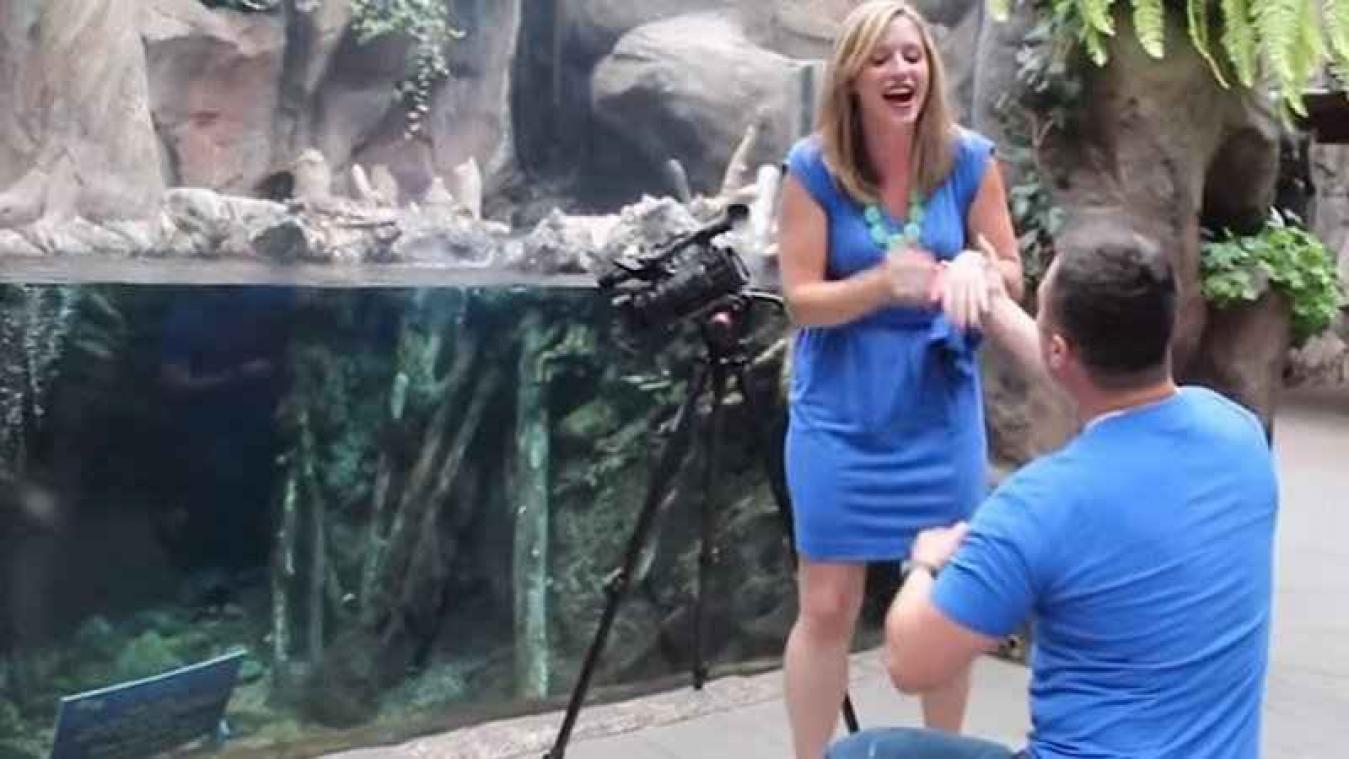 VIDEO. Otters helpen een handje bij huwelijksaanzoek