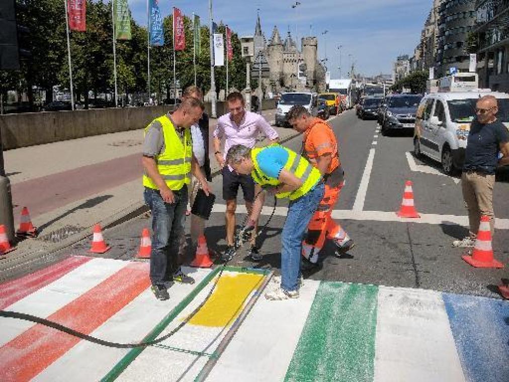 Antwerpen schildert zebrapaden in regenboogkleuren voor Antwerp Pride