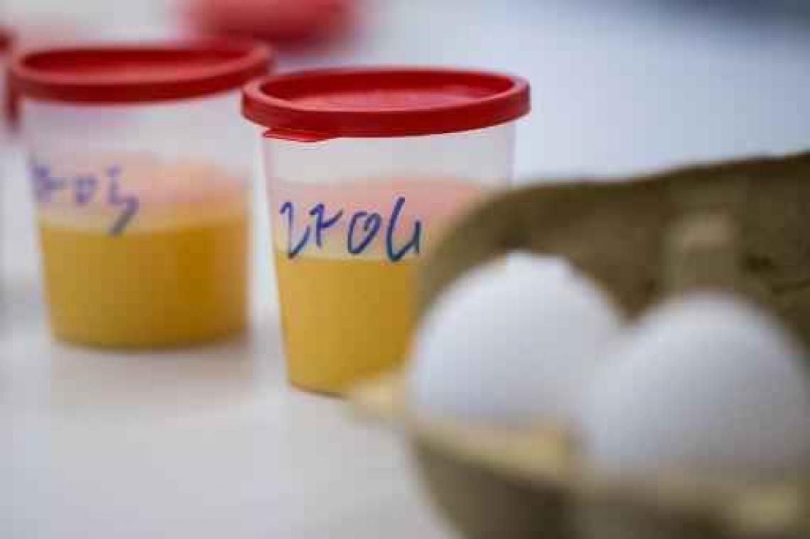FAVV geeft voor het eerst cijfers over graad van fipronil-besmetting