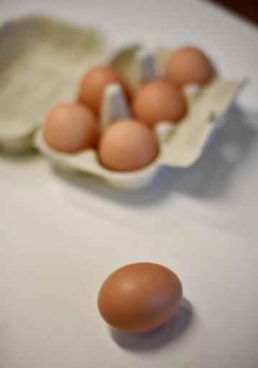 Fipronil in eieren - Enkele honderdduizenden euro's schade in Wallonië