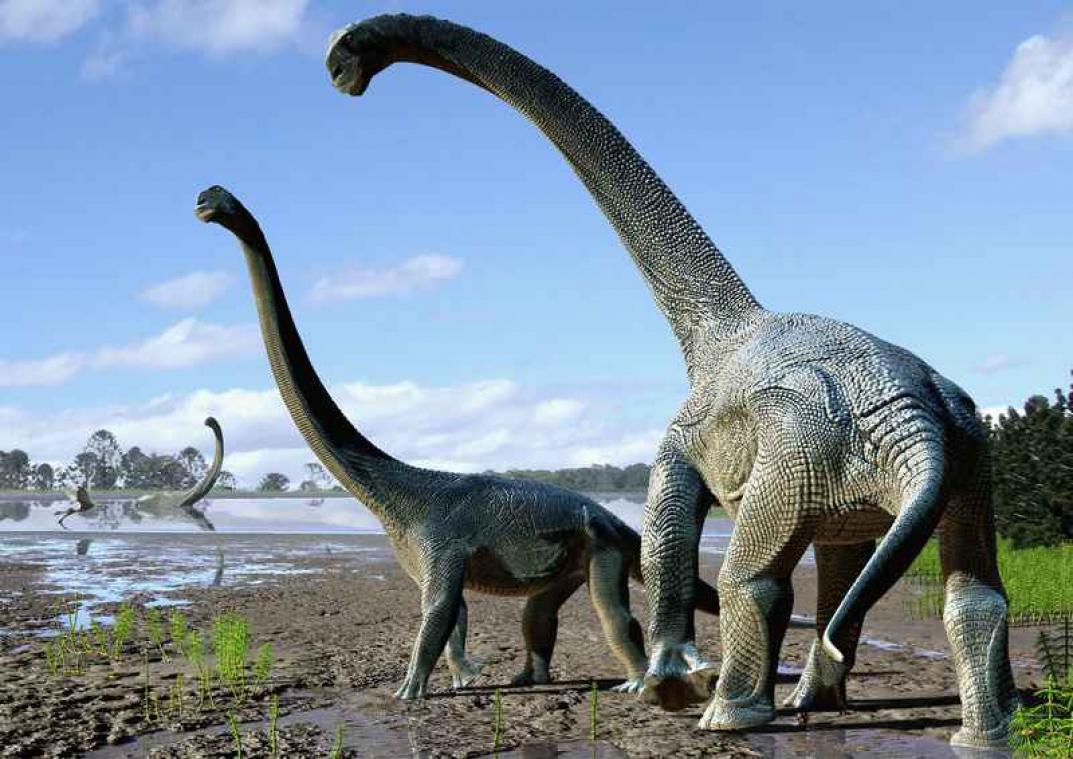Grootste dino ter wereld heeft eindelijk een naam