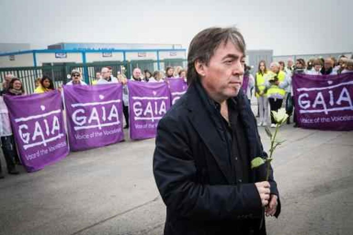 Eiercrisis: Gaia dient klacht in tegen kweker die al zijn kippen liet ruimen