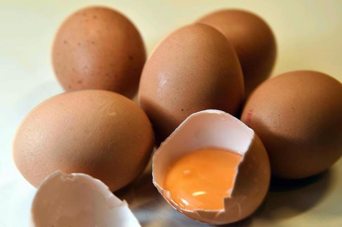 Parket schakelt versnelling hoger in fipronildossier
