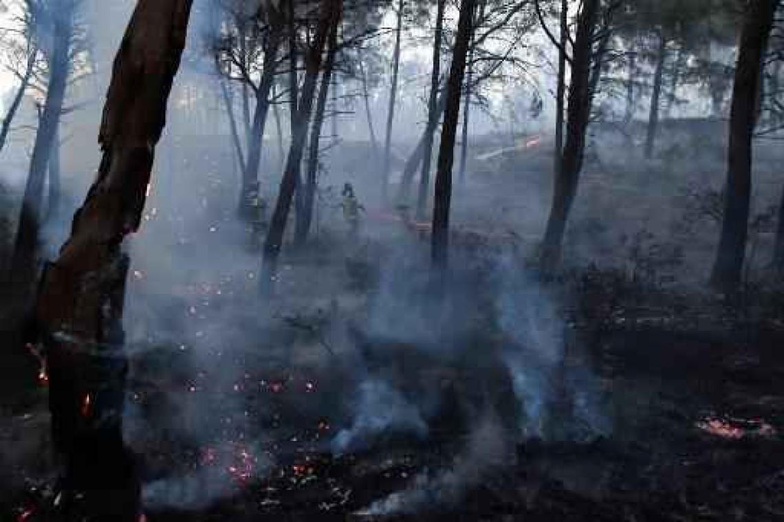 Franse politie pakt vermoedelijke brandstichter op in regio Marseille