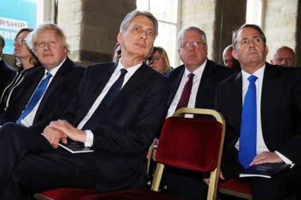 Britse ministers pleiten voor overgangsperiode na vertrek uit EU