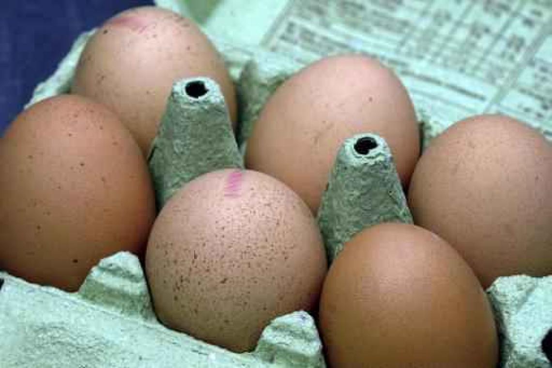 Fipronil in eieren - FAVV trof fipronil aan in 7 'niet verdachte' bedrijven, maar niet in vlees van legkippen