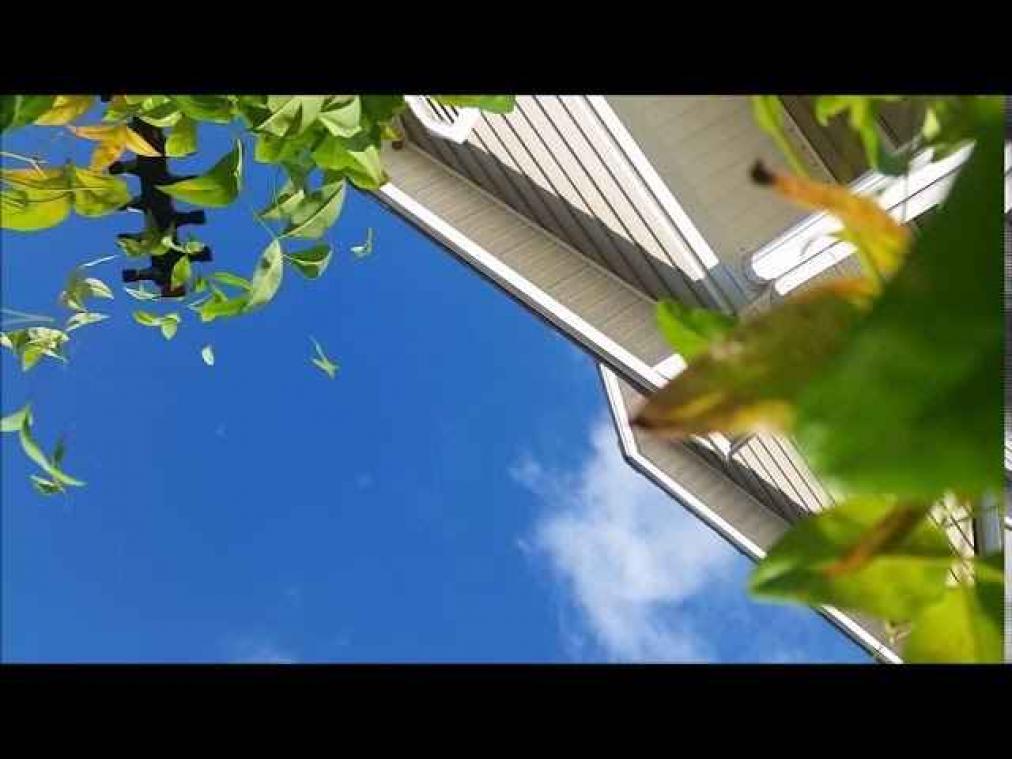 Gsm filmt en overleeft val van 300 meter hoog