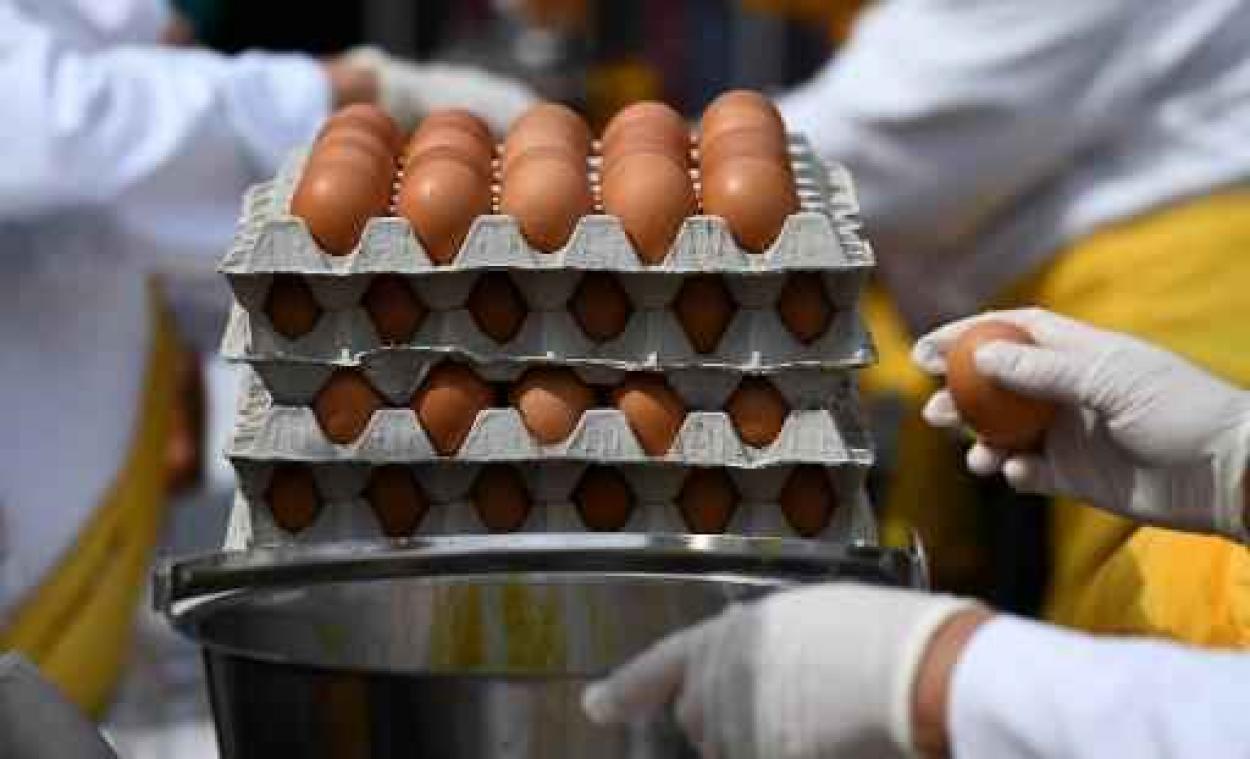 Fipronil in eieren - Belgische staat stelt zich burgerlijke partij Fipronil in eieren - Belgische staat stelt zich burgerlijke partij