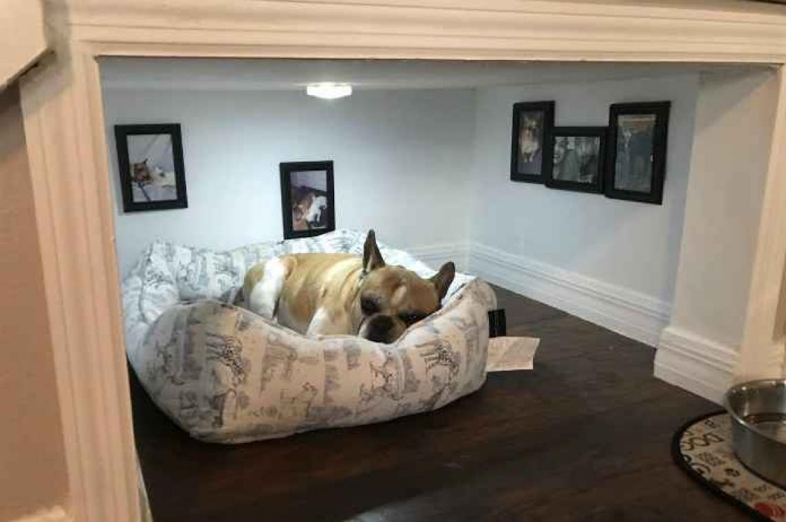 Man bouwt kleine, schattige slaapkamer voor hond