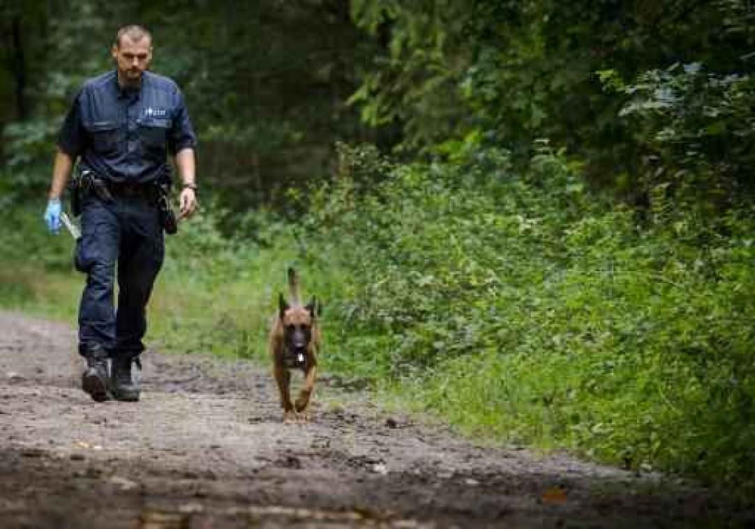 Nederlandse politie zoekt verdwenen Belg in loods in Nispen