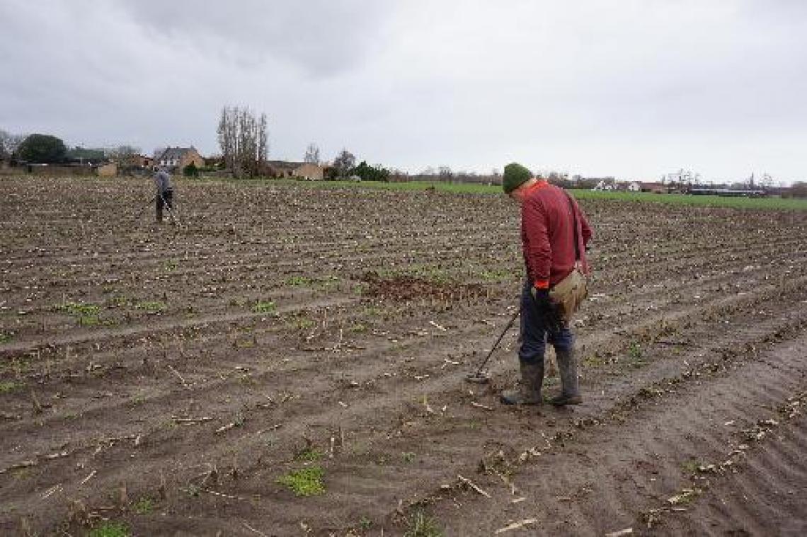 Archeologie met de metaaldetector: Medea-project werpt eerste vruchten af