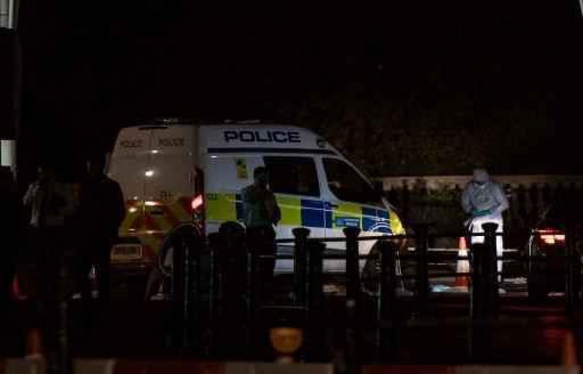 Mesaanval op politie aan Buckingham Palace wordt als terreurdaad onderzocht