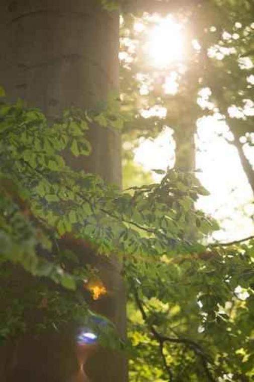 Weerbericht - Zonnig en warm, vanaf vanavond mogelijk onweer