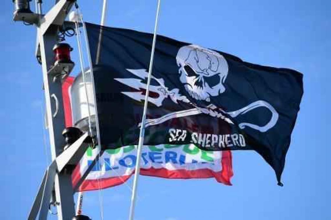 Sea Shepherd gaat niet meer jagen op walvisjagers in Zuidelijke Oceaan