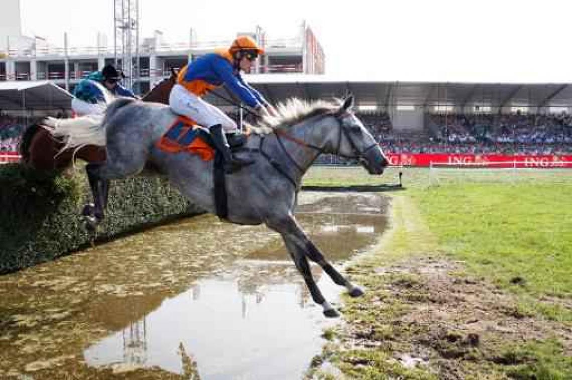 Taupin Rochelais schrijft geschiedenis met derde zege in Grote Steeple-chase Vlaanderen