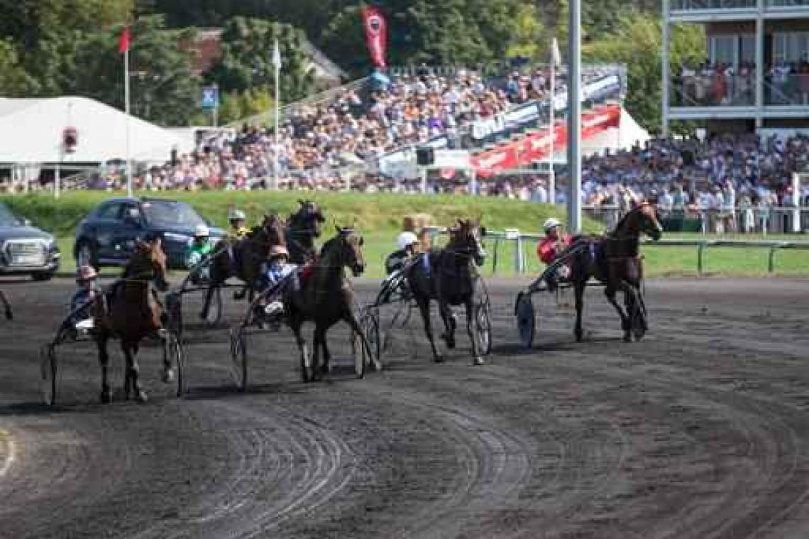 Gaia niet te spreken over Waregem Koerse