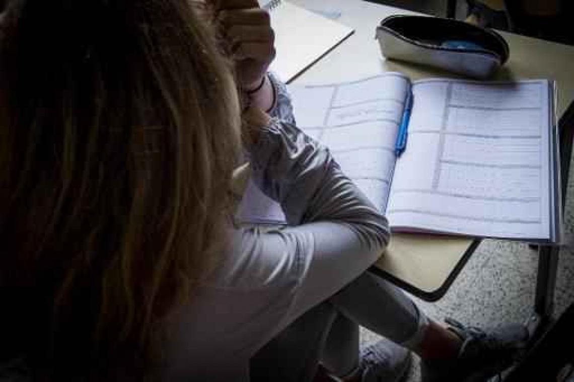 Burgerschap wordt vak op school