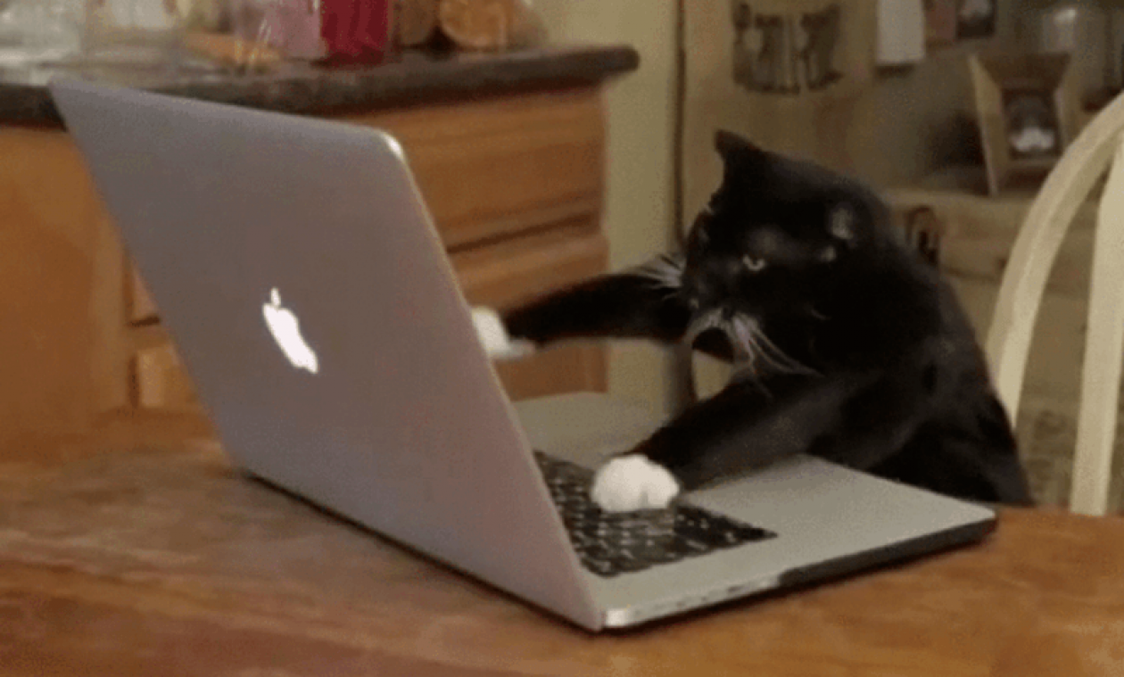 Gifs bestaan al dertig jaar