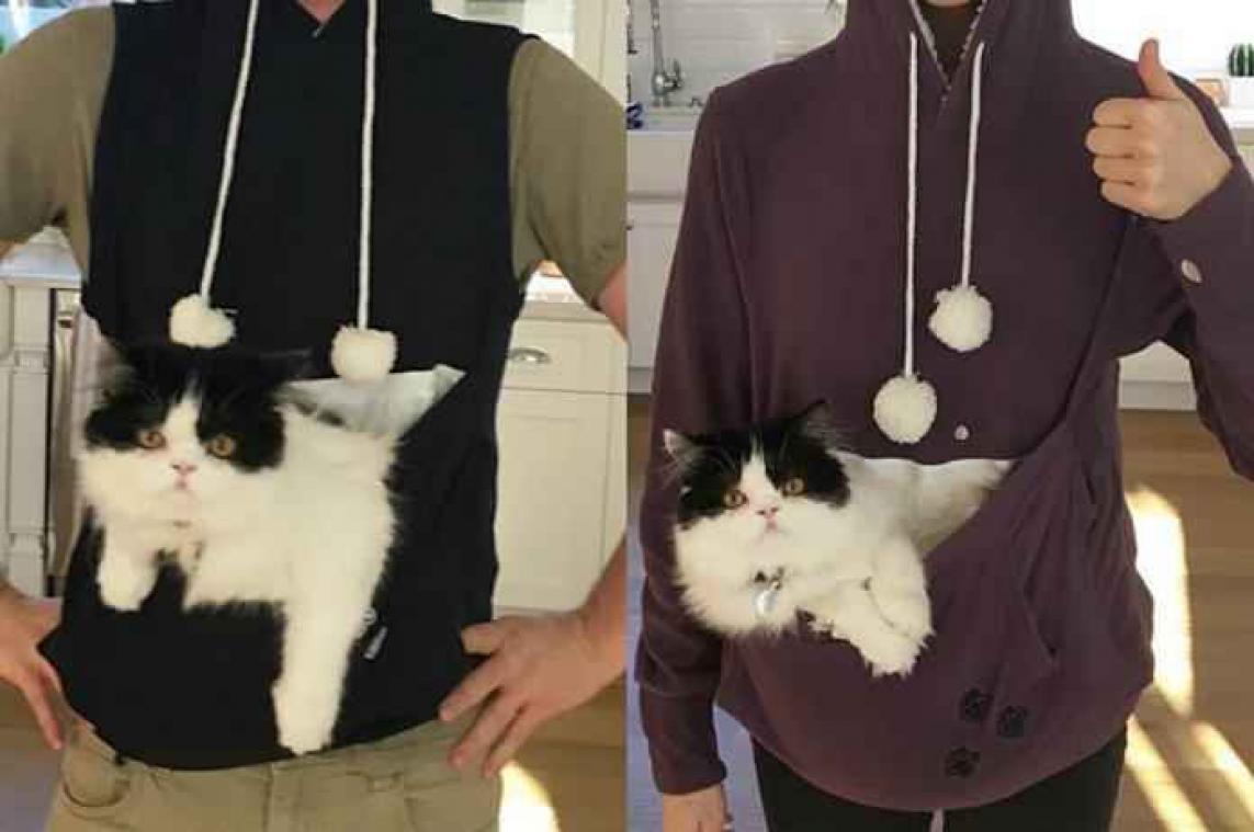 Met deze hoodie kan je je kat overal meenemen